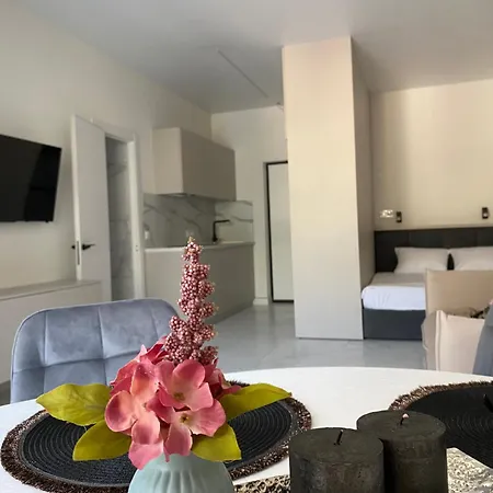 Apartment Magnit *